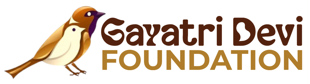 GDF-Academy-Logo